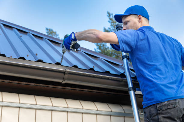 Best Roof Insulation Installation  in Cold Springs, NV