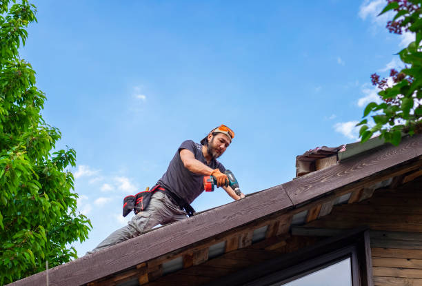 Reliable Cold Springs, NV Roofing services Solutions