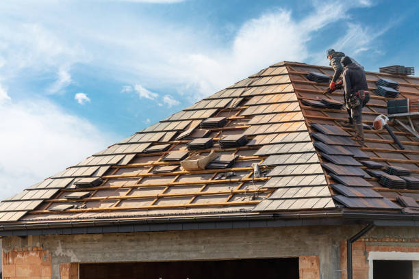 Best Roof Maintenance and Cleaning  in Cold Springs, NV
