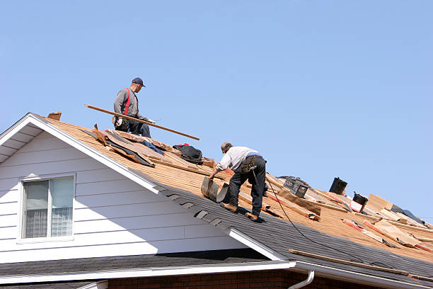 Best Roof Installation  in Cold Springs, NV